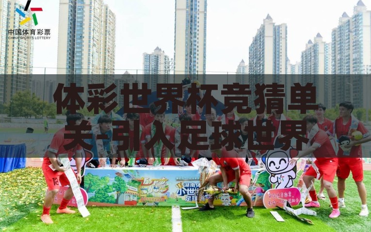 体彩世界杯竞猜单关-引入足球世界，一起探索体彩世界杯竞猜单关的玩法乐趣，揭秘体彩世界杯竞猜单关，与足球同行，享受竞猜新乐趣