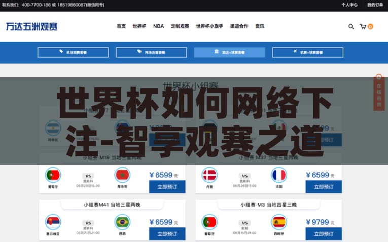 世界杯如何网络下注-智享观赛之道，网络平台下的世界杯足球赛下注指南，关于网络平台下世界杯足球赛下注的智能策略。