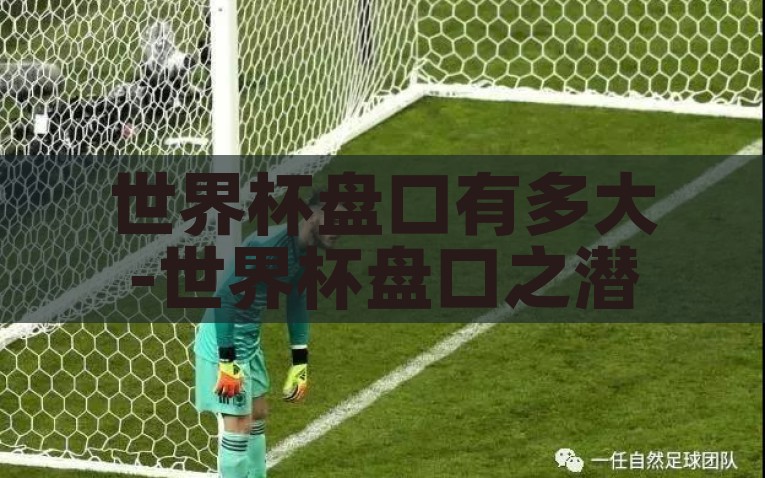 世界杯盘口有多大-世界杯盘口之潜藏的无限与契机
