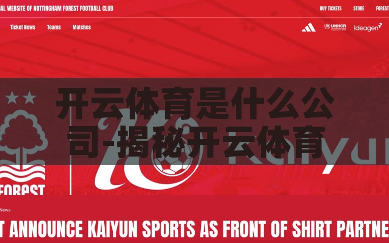 开云体育是什么公司-揭秘开云体育，领先体育娱乐综合服务平台，开云体育，揭秘领先体育娱乐综合服务平台