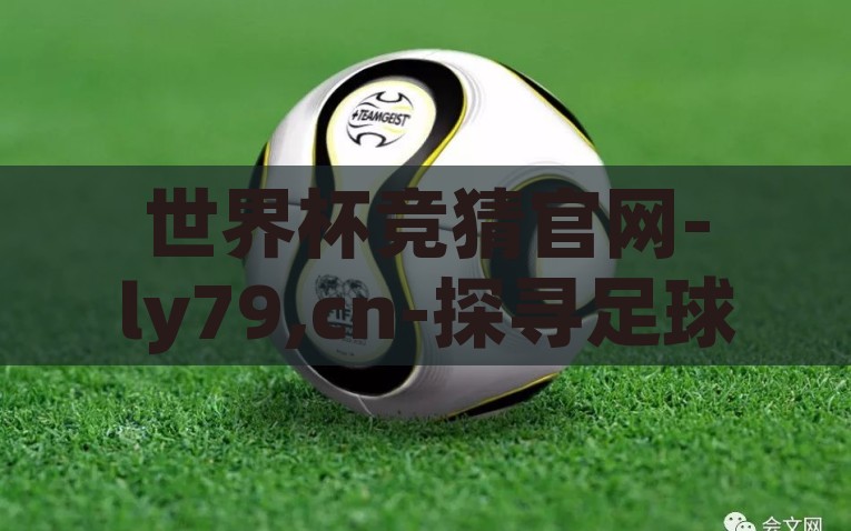 世界杯竞猜投注攻略-如何在世界杯竞猜投注中增大赢面，实用攻略指南，揭秘世界杯竞猜投注实战策略，提升赢面，实战攻略指南