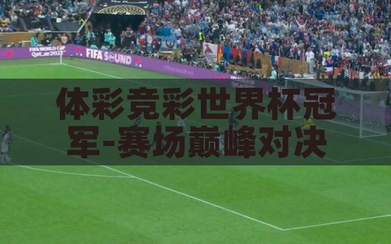 体彩竞彩世界杯冠军-赛场巅峰对决，体彩竞彩世界杯冠军的魅力与策略，探寻赛场巅峰，体彩竞彩世界杯冠军的魅力与策略
