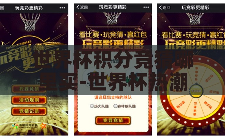 世界杯积分竞猜哪里买-世界杯热潮，积分竞猜的乐趣与选择指南，世界杯积分竞猜，热潮下的乐趣与选择指南