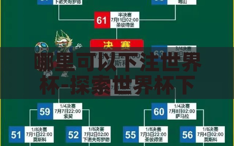 哪里可以下注世界杯-探索世界杯下注的合法与安全途径，安全合法，探索世界杯下注的可靠途径