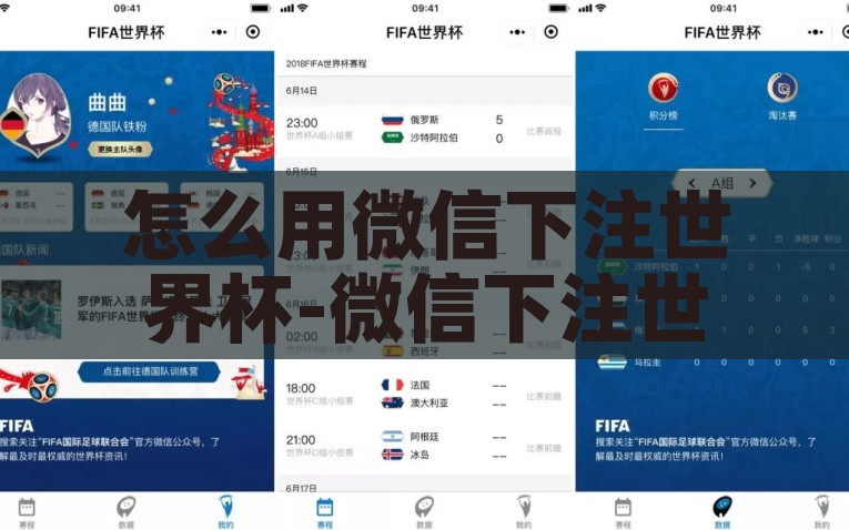怎么用微信下注世界杯-微信下注世界杯，一本轻松无忧的指南，微信轻松下注世界杯，一本无忧指南详细解读