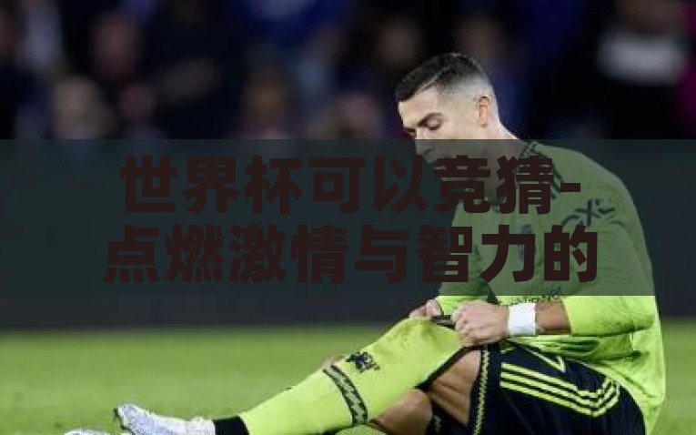 世界杯可以竞猜-点燃激情与智力的火花，世界杯竞猜的魅力与乐趣，点燃激情，挑战智力，世界杯竞猜的魅力与乐趣