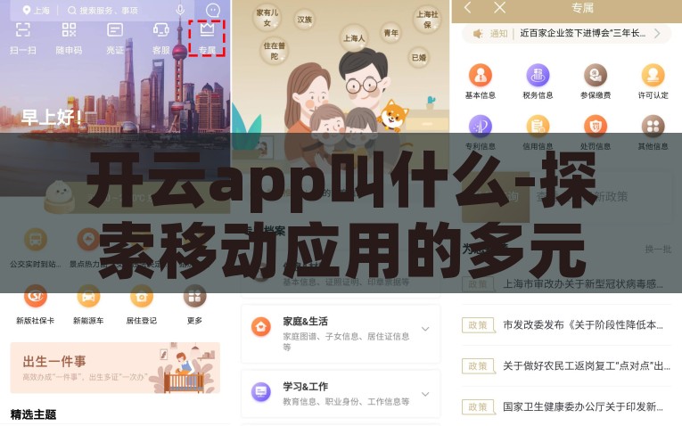 开云app叫什么-探索移动应用的多元名称，了解开云app背后的故事与选择因素，揭秘开云的多元名称，背后的故事与选择考量
