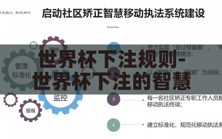 世界杯下注规则-世界杯下注的智慧选择——细读规则，稳操胜券，世界杯赛场之外的智胜，细读下注规则，稳健策略赢尽致！