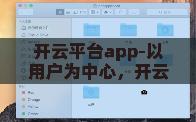 开云平台app-以用户为中心，开云平台app的全面解析，开云平台App，以用户为中心的全方位解析