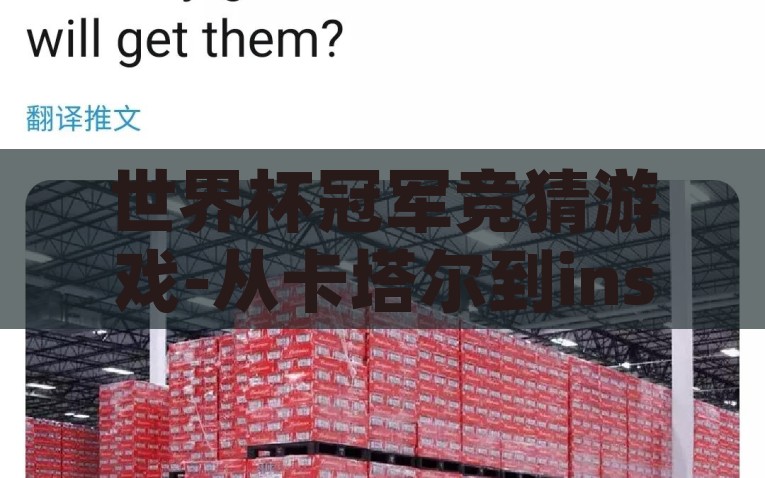 世界杯冠军竞猜游戏-从卡塔尔到insight，世界杯冠军竞猜的趣味与智慧穿越，世界杯冠军竞猜，从卡塔尔到见解的趣味与智慧之旅
