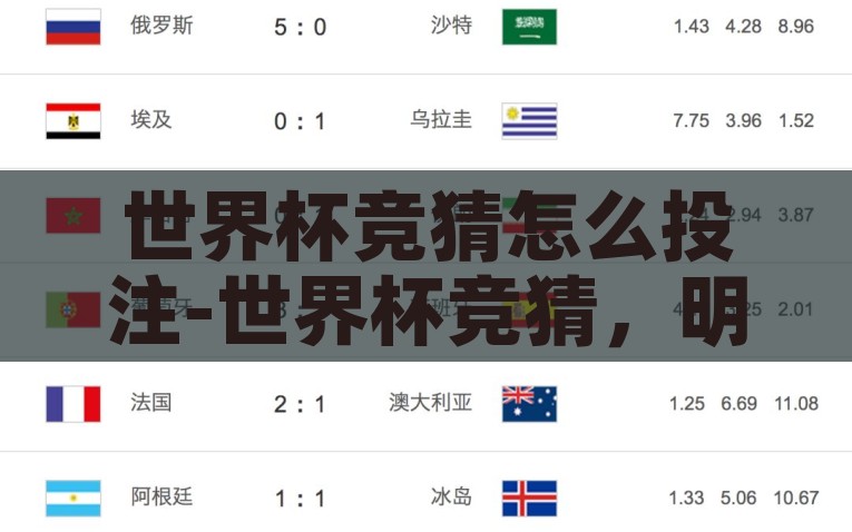 世界杯竞猜怎么投注-世界杯竞猜，明智投注策略揭秘与技巧分享，韦神揭秘，世界杯竞猜的明智投注策略与技巧