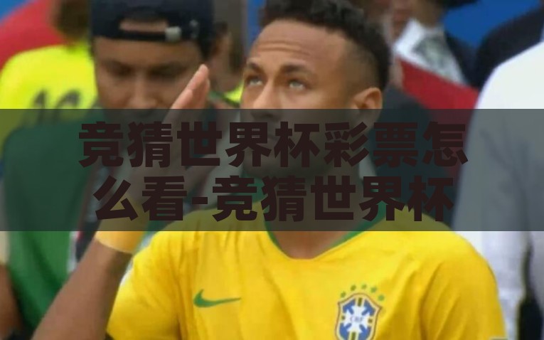竞猜世界杯彩票怎么看-竞猜世界杯彩票，策略与技巧的深度分析，竞猜世界杯彩票，深度剖析策略与技巧