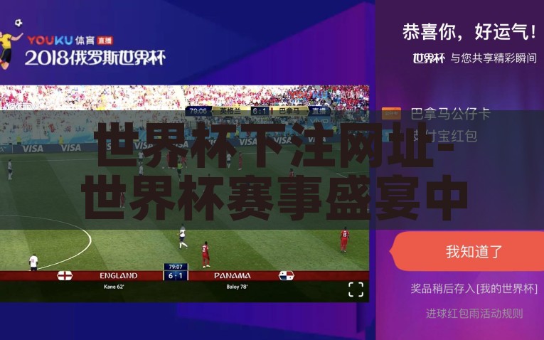 世界杯下注网址-世界杯赛事盛宴中之理性投注之道，世界杯理性投注指南，享受赛事盛宴的同时谨慎下注