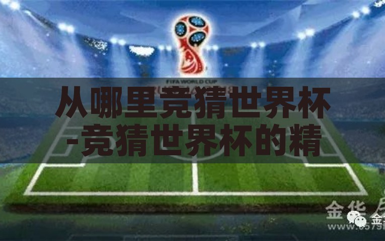 从哪里竞猜世界杯-竞猜世界杯的精彩舞台，多元化平台与策略解析，全球视野下的世界杯竞猜，多元化平台与策略的精彩舞台