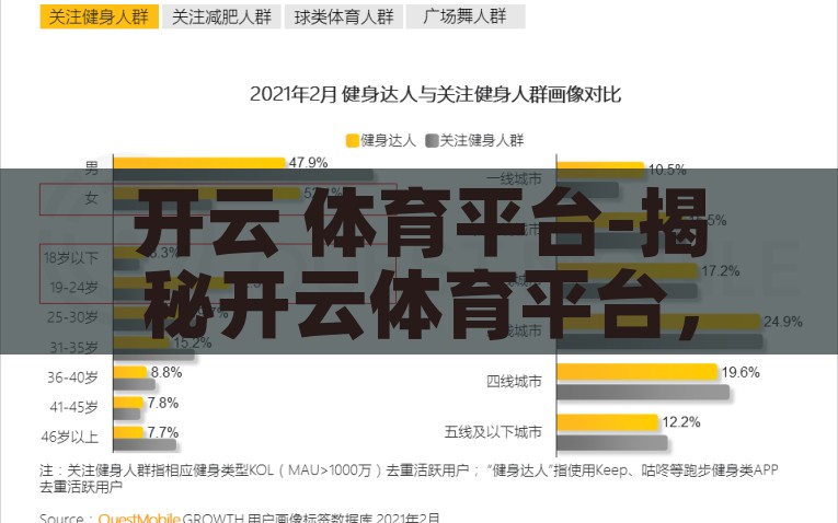开云 体育平台-揭秘开云体育平台，全方位解析与用户体验洞察，揭秘开云体育平台，全方位解析与用户深度体验洞察