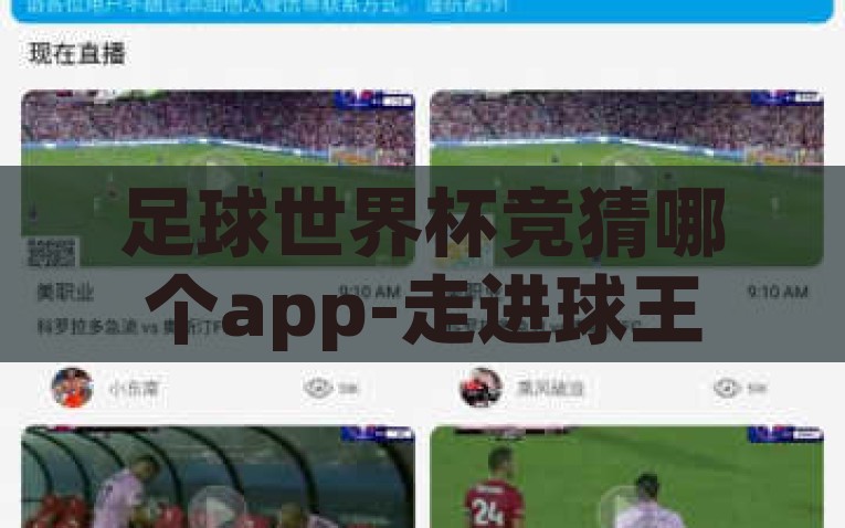 足球世界杯竞猜哪个app-走进球王殿堂，揭秘足球世界杯竞猜首选APP，通过球王殿堂，探索足球世界杯竞猜的必备APP