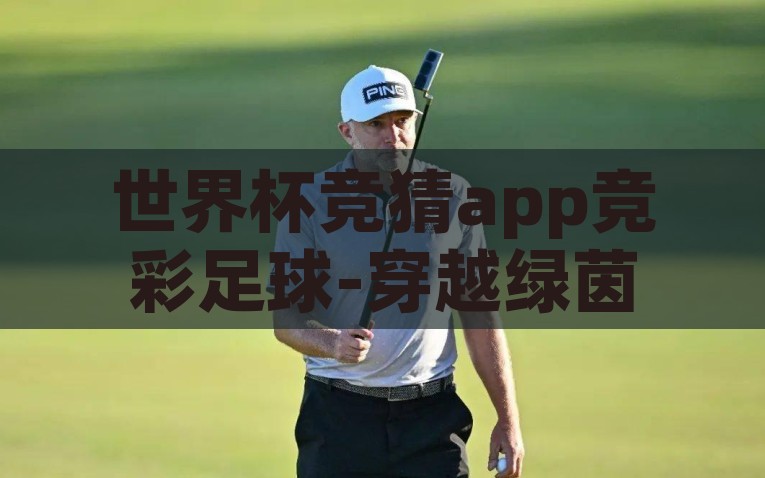 世界杯竞猜app竞彩足球-穿越绿茵场，世界杯竞猜app的足球盛宴，穿越绿茵场，世界杯竞猜APP的足球狂欢