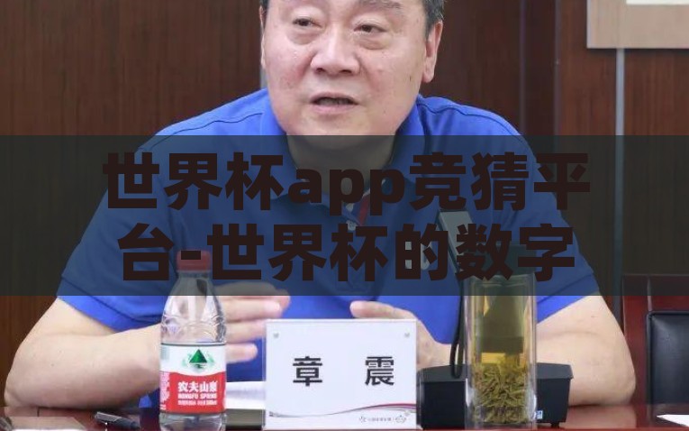 世界杯app竞猜平台-世界杯的数字化娱乐盛宴，探寻竞猜平台的魅力与影响，数字化世界杯竞猜，探索App平台的魅力与影响