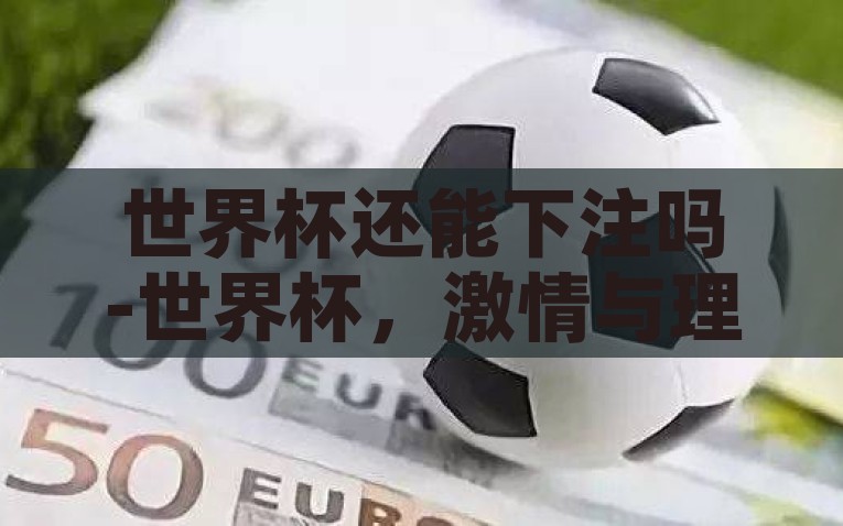 世界杯还能下注吗-世界杯，激情与理性的博弈，下注的智慧，世界杯，激情与理性交织的赌局