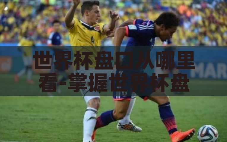 世界杯盘口从哪里看-掌握世界杯盘口，从哪开始，掌握世界杯盘口，从专业数据分析开始