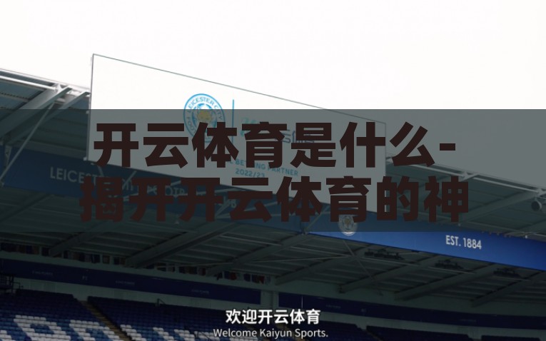 开云体育是什么-揭开开云体育的神秘面纱，行业新宠的深度剖析，解密行业新宠，开云体育的崛起之路