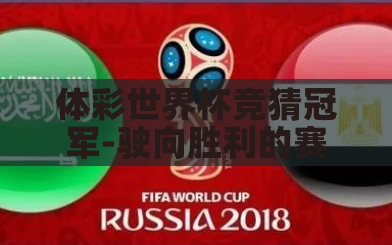 体彩世界杯竞猜冠军-驶向胜利的赛场，体彩世界杯竞猜冠军的策略与激情，体彩世界杯·竞猜冠军，驶向胜利的策略与激情之旅
