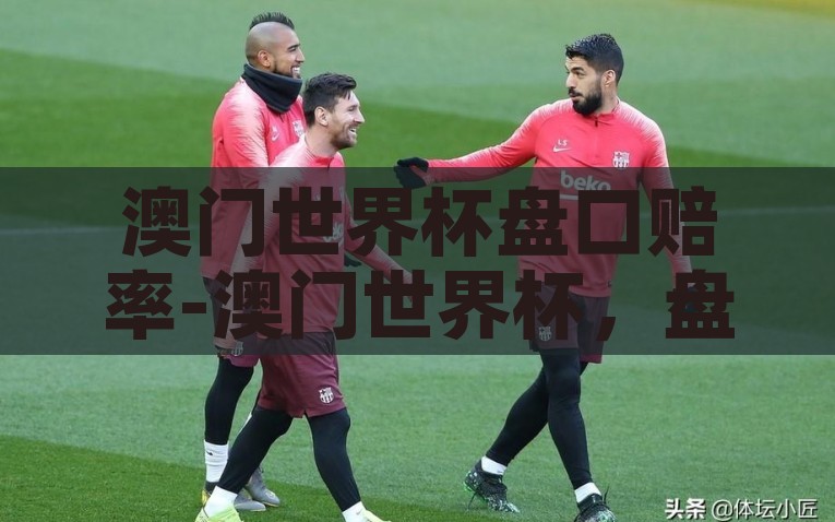 澳门世界杯盘口赔率-澳门世界杯，盘口赔率背后的足球经济与全球竞赛，揭秘，澳门世界杯盘口赔率——足球经济与全球竞赛中的角力