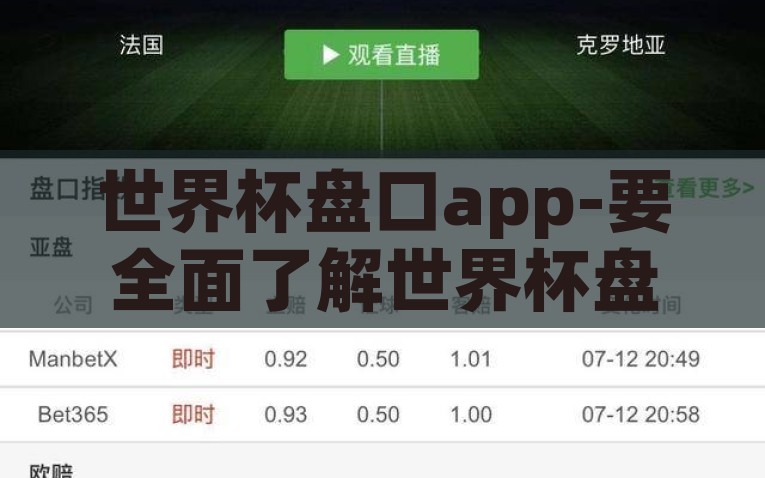 世界杯盘口app-要全面了解世界杯盘口app的实际运用，我们可以从以下几个方面展开，全面解析世界杯盘口app的实操与应用